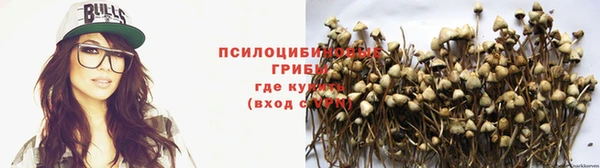 Альфа ПВП Беломорск