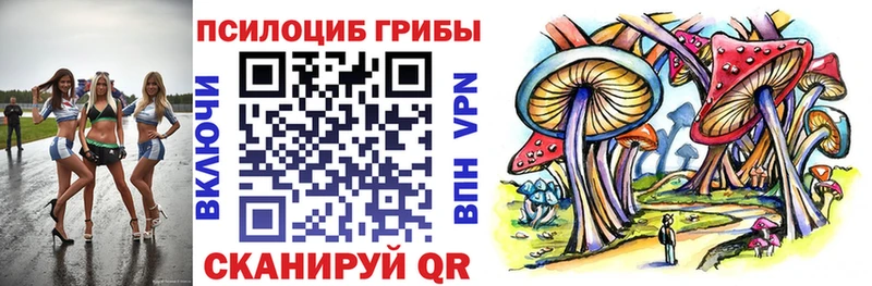 дарнет шоп  Армавир  Псилоцибиновые грибы Psilocybe 