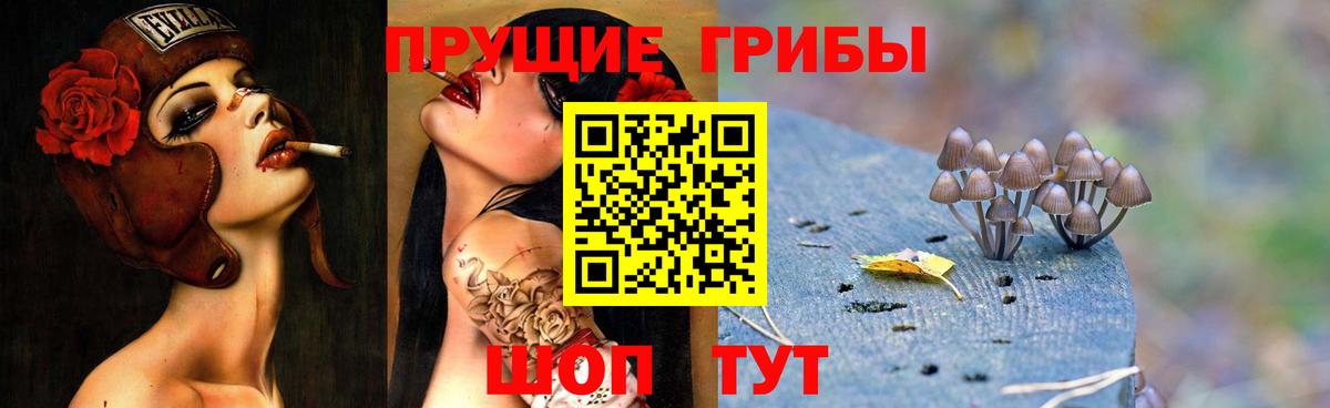Галлюциногенные грибы MAGIC MUSHROOMS  Псилоцибиновые грибы GOLDEN TEACHER  Вход с VPN  Армавир 