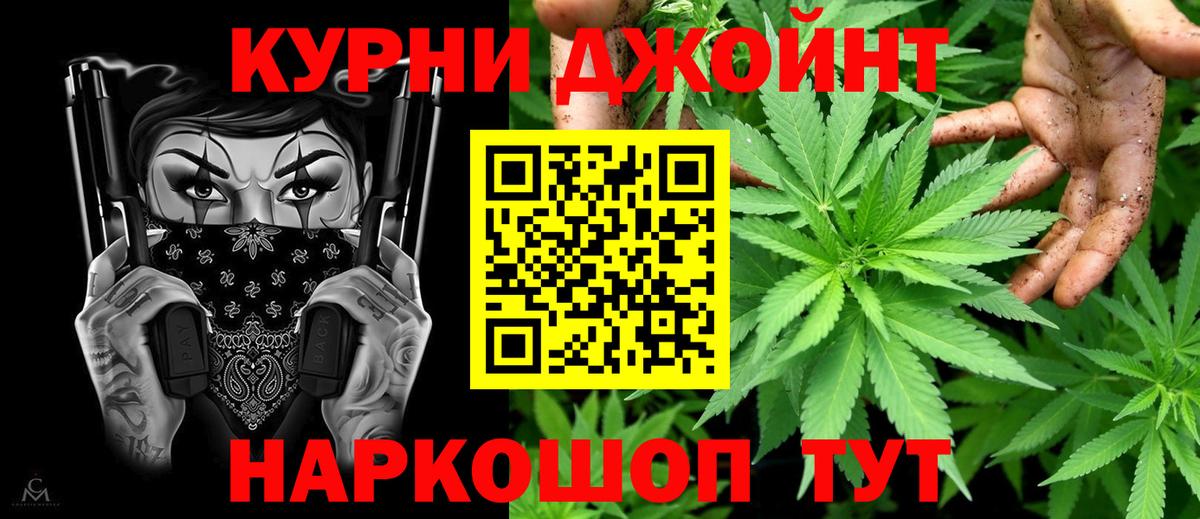 Канабис OG Kush Армавир